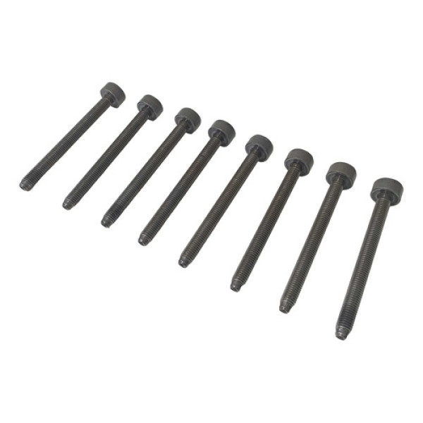 Jogo De Parafuso Do Cabeçote Ford Ecosport 1.5 3cc 